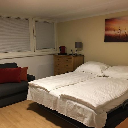 Cosy Flat In The Quiet Area With Own Garden, Free Parking And Direct Public Transport Link To The Centre Apartman Bécs Kültér fotó