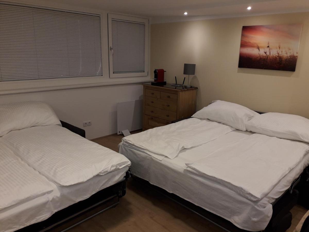 Cosy Flat In The Quiet Area With Own Garden, Free Parking And Direct Public Transport Link To The Centre Apartman Bécs Kültér fotó